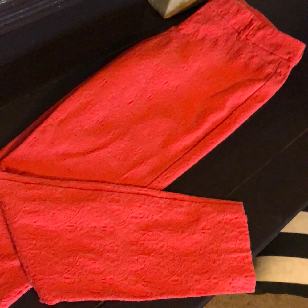 Pixie Ankle Pants - image 1